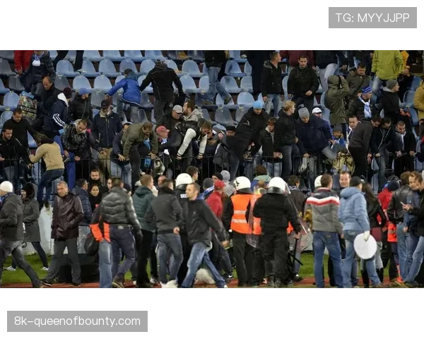 比赛因球迷冲入场地中断近十分钟